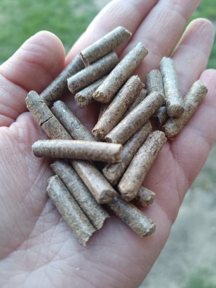 Pellet sosnowy od producenta