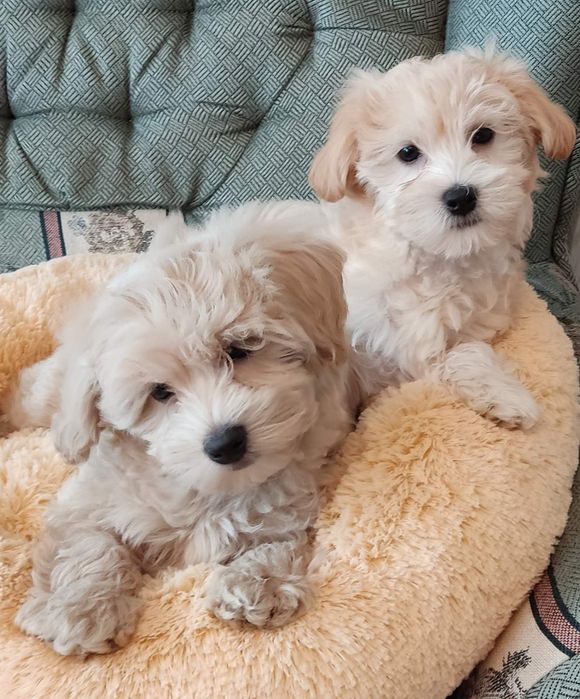 Что подождёт именно вас