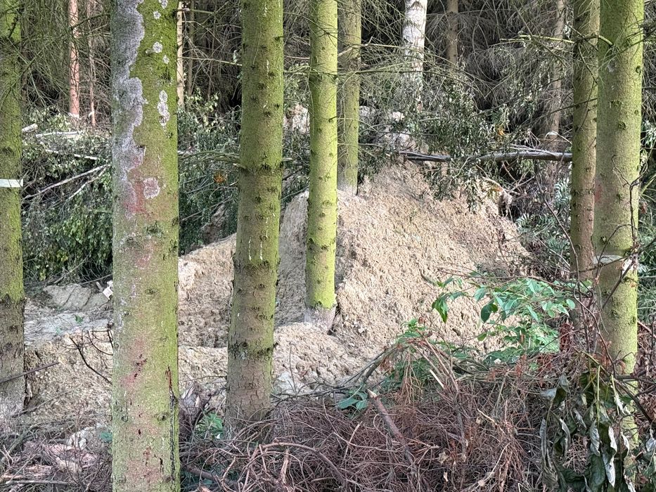Oddam za darmo ziemię 15m3