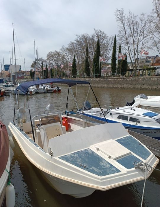Barco catamarã com atrelado