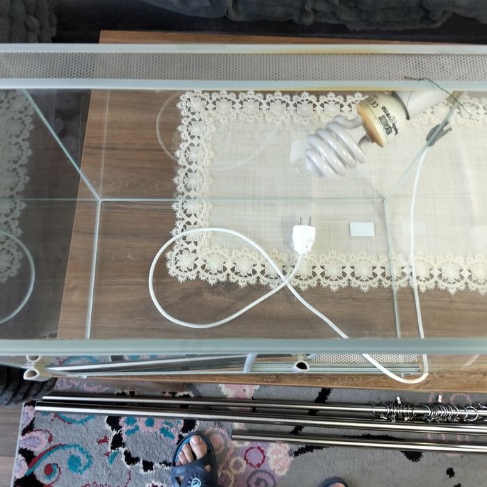Terrarium z lampą UV
