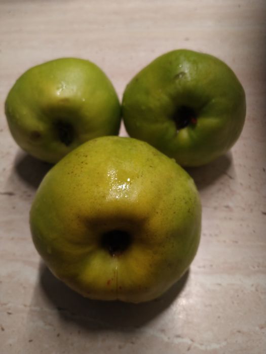 Pigwa owoce ekologiczne..