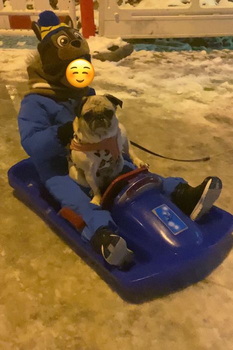 Sprzedam dwoje sanek