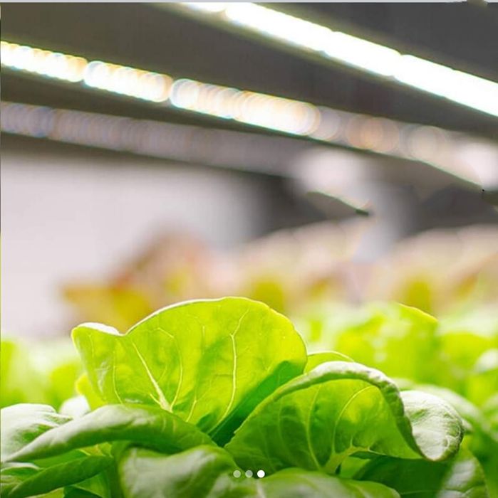 Фито светильник Samsung LM301B – 40 ватт