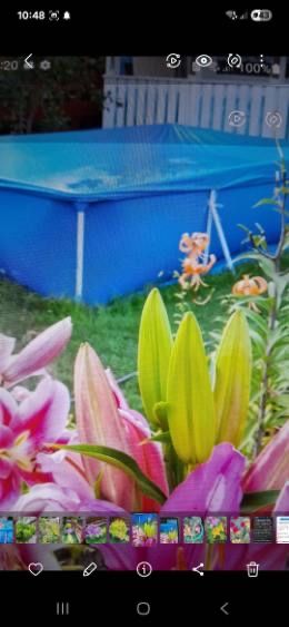 Ogrodek dzialkowy Kepno