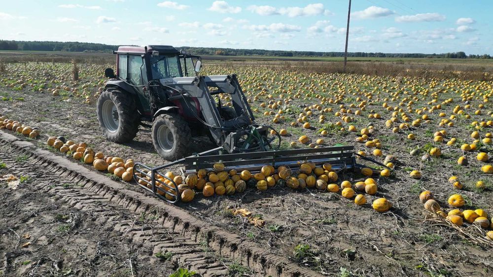 Zgarniacz zgartacz do dyni Abbo Z350