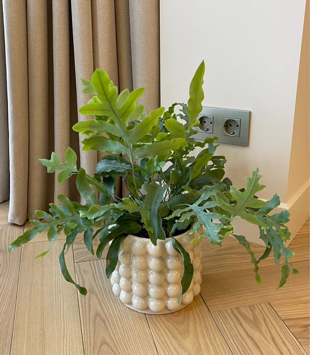 Кашпо H&M очень красивое