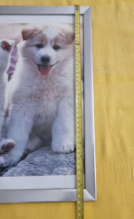 Quadro Medidas nas fotos