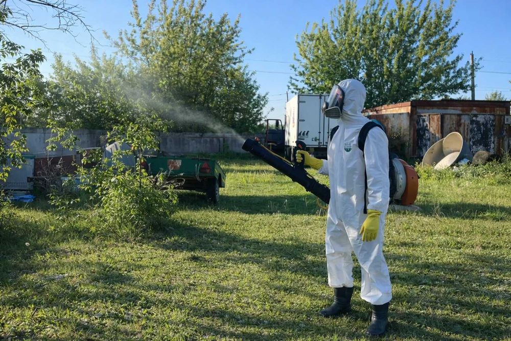 Обробка квартири від тарганів клопів бліх | Безпечна дезінфекція