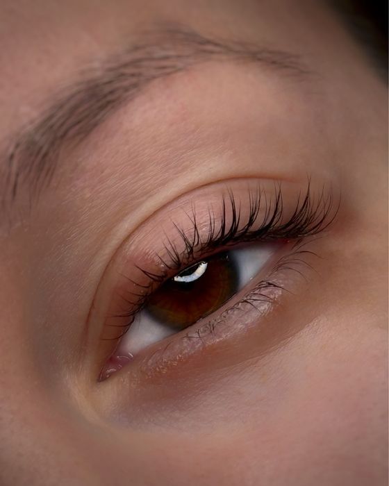 Бровіст/ ламімейкер