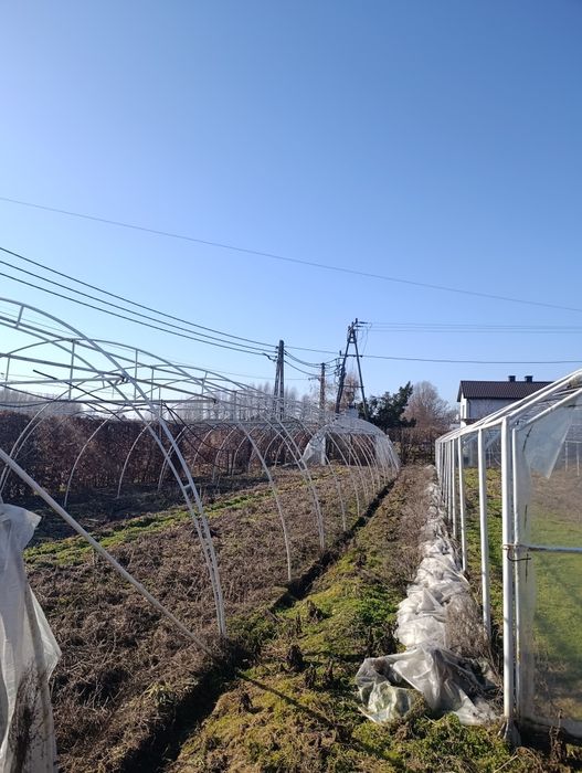 Sprzedam dwa tunele  foliowe