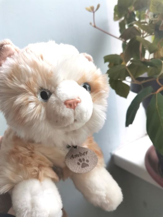 Кошка кицька подарунок до Дня закоханих