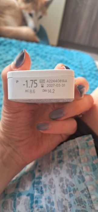 Одноденні лінзи Miru 1day Menicon Flat -1,75/1.75