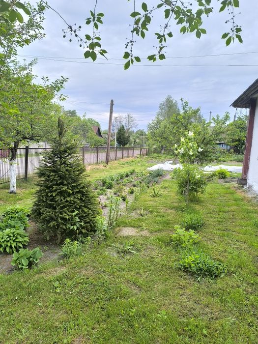 Продам будинок в с. Суховоля, Рівненська область