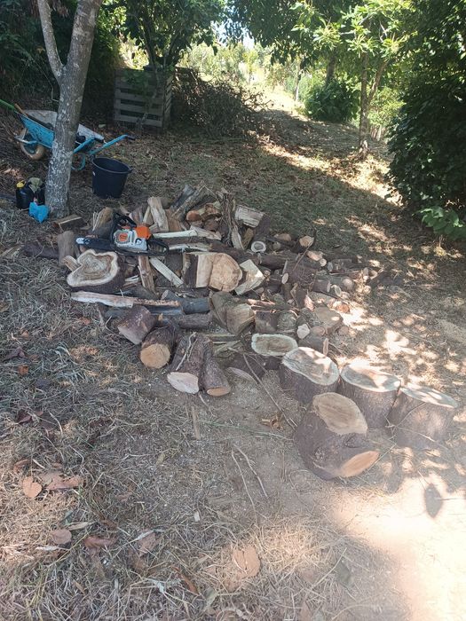 Jardineiro particular para cuidar do seu espaço