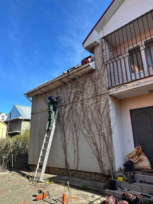 Садовник стрижка обрезка уборка осенью