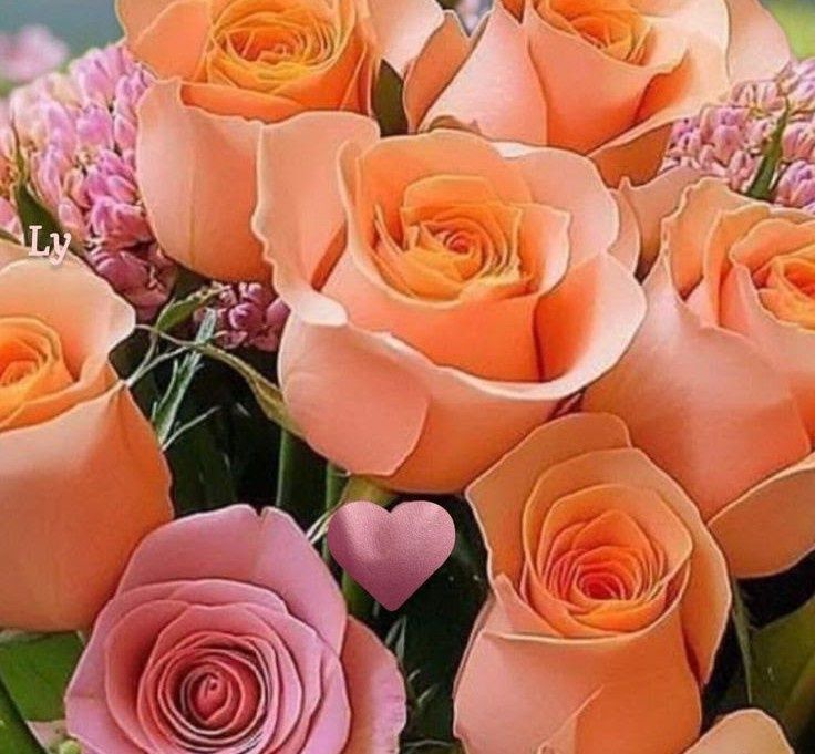 Родина візьме під опіку-догляд самотню людину похилого віку.