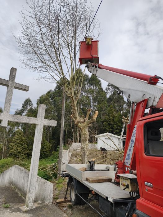 Grua barquinha com elevação até 20 metros
