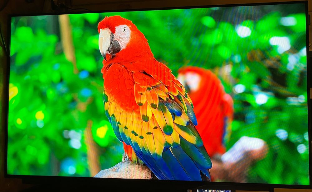 Monitor Samsung 55cali przemysłowy BD55E