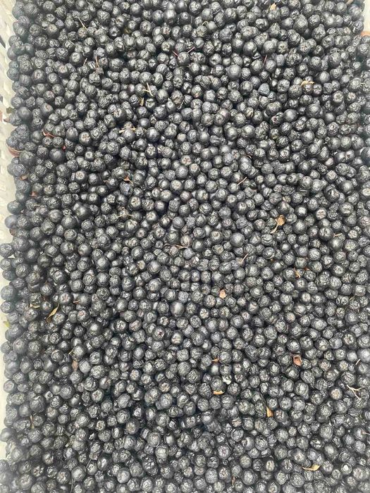 Продам. Сушени.    ягоды черноплодной рябины