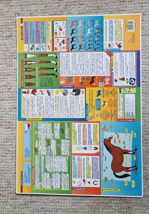 Podkładka na biurko Konie