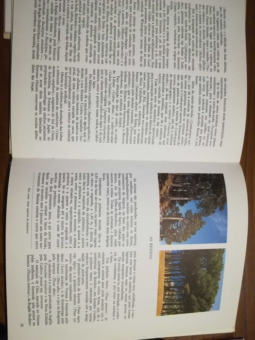 2 livros - O mundo das plantas