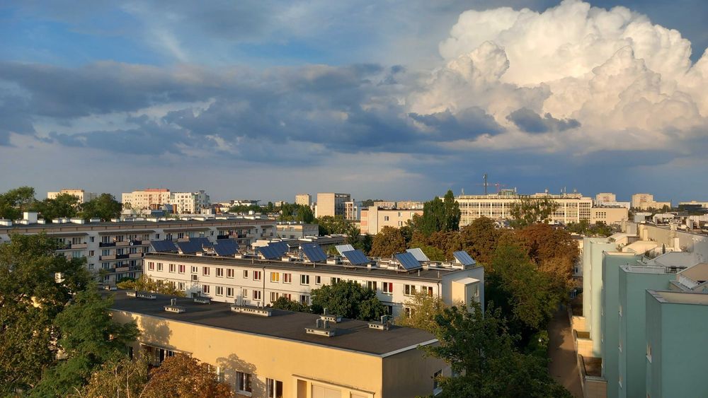 Zdjęcie 7
