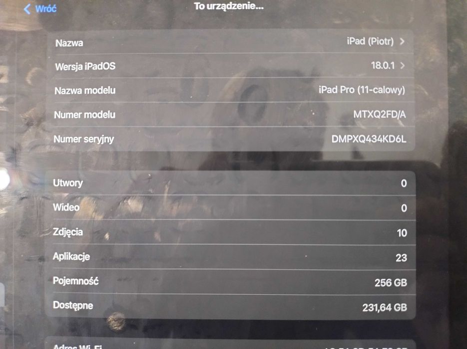 iPad Pro 11-calów 256 GB gwiezdna szarość