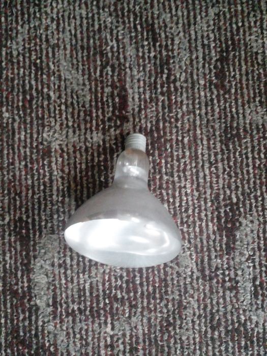 Лампа   обогрева