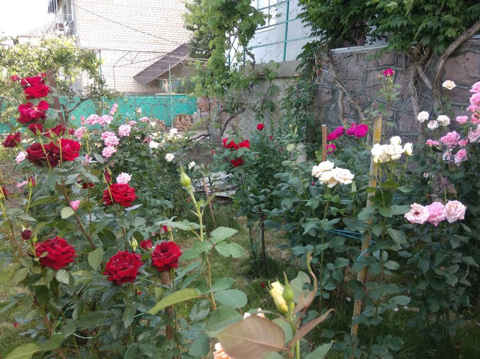 Продається двоповерховий котедж у м. Баштанка