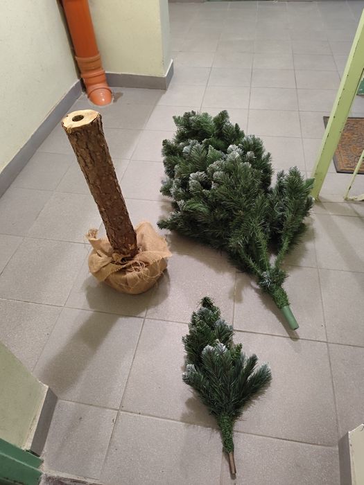 Choinka na pniu 210 cm