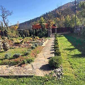 Відпочинок у Карпатах