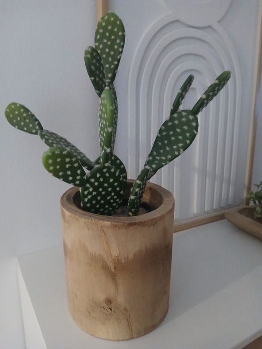 Vendo vaso de madeira com cacto em bom estado