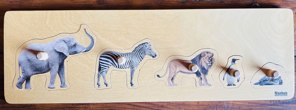 Conjunto Materiais Montessori Nienhuis