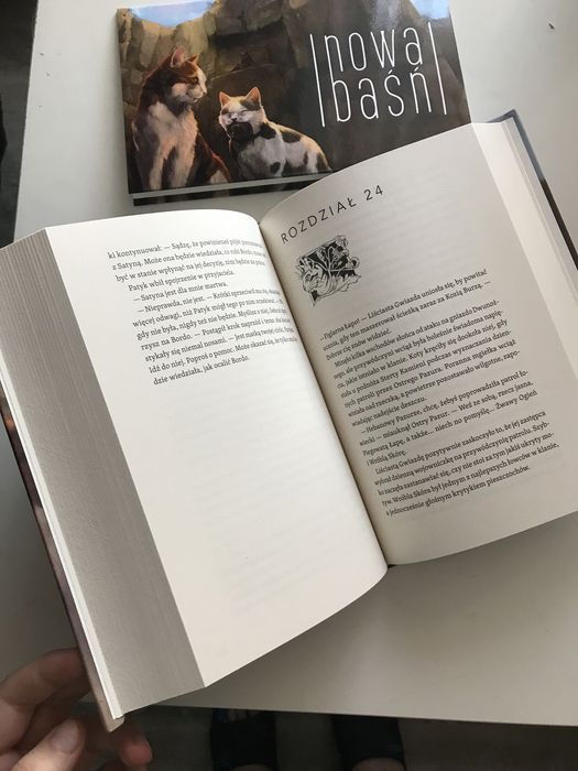 Wojownicy erin hunter przeznaczenie klanu nieba