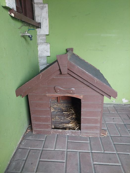 Buda dla psa 72cmdł.