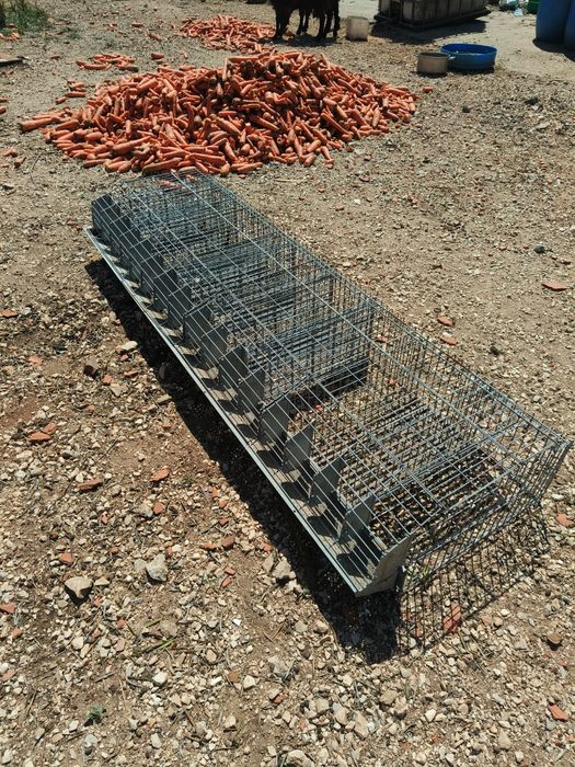 Conjuntos de coelheiras individuais