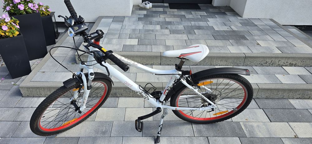 Rower miejski/trekkingu Alu-Rex –