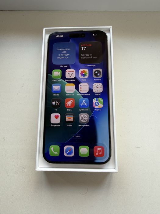iPhone 15 Pro Max 256 Gb