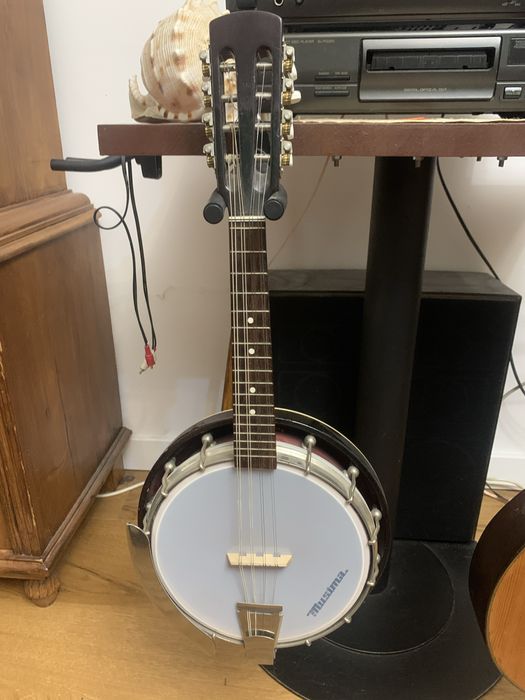Mandolin banjo i banjo