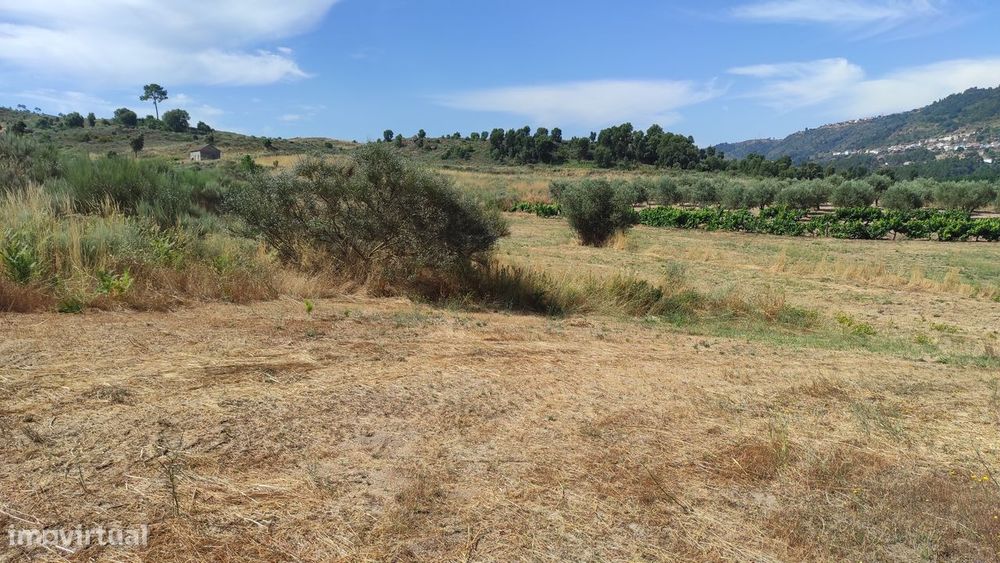 Quinta na Beira Alta (5 hectares) - Água Própria,  Excelentes Acessos — Aldeia Nova, Guarda