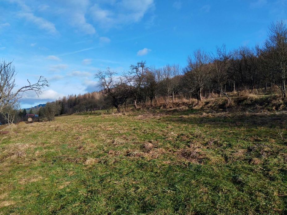 Działka rolno-budowlana, ul. Staszowa