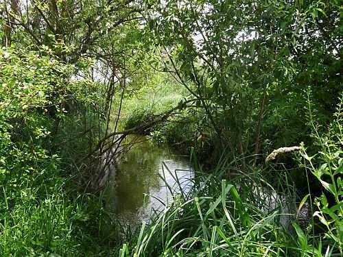 40 сот. у центрі села Юрів