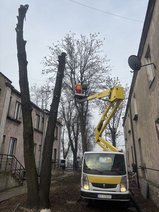 Wynajem podnośnika koszowego 20m
