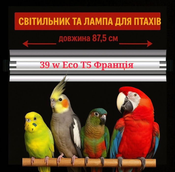 Лампа для птахів 87,5 см T5 39W Франція
