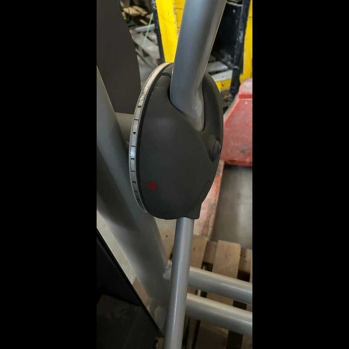 Maszyna do ćwiczeń mięśni grzbietu Lower Back Technogym Selection