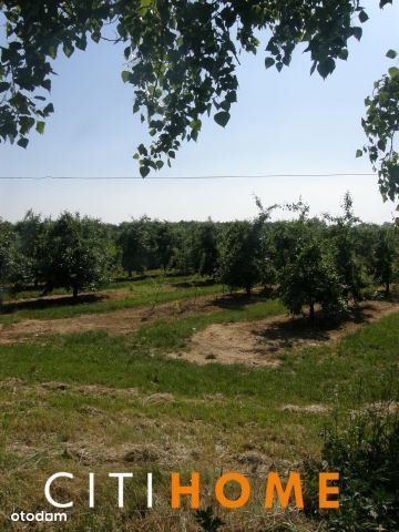 Działka, Radwanków Królewski - Widok 5