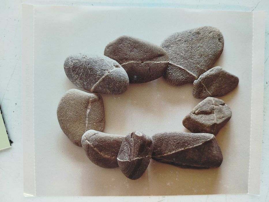 Okładka CD Eagle-Eye Cherry Desireless poligrafia OP+OT bez płyty !!