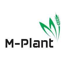 Lancet Plus 125 WG na 5 ha herbicyd wiosenny na zboża