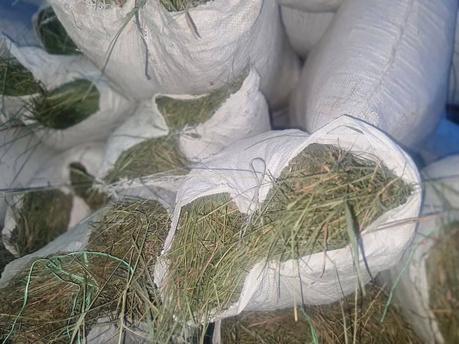 Сено для Шиншилл и других Грызунов!